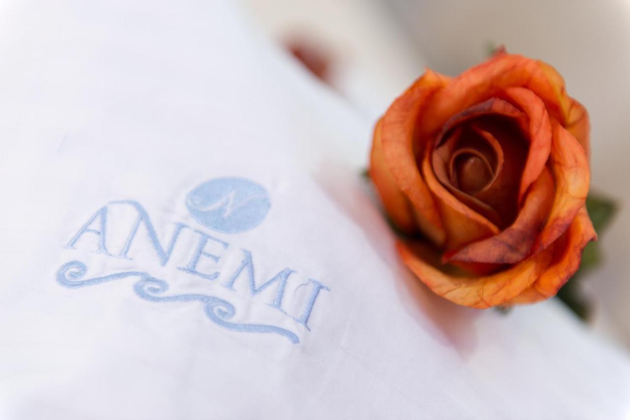 Anemi Leros Apartments Panteli Pokoj fotografie